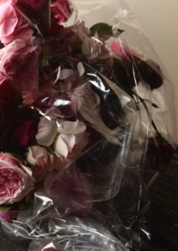 刀尖炙（短篇1v1）